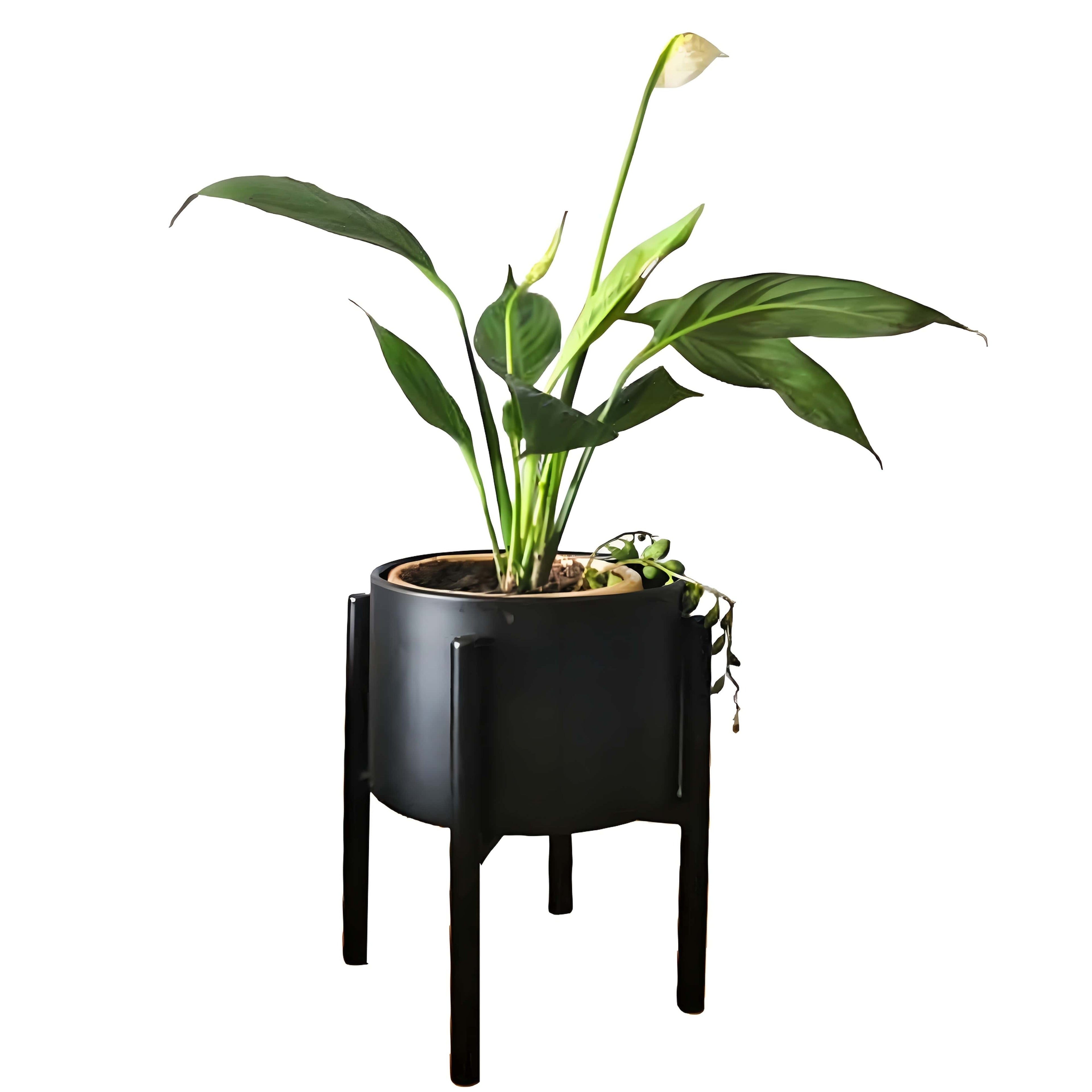 3 petits cache pot sur pied noir