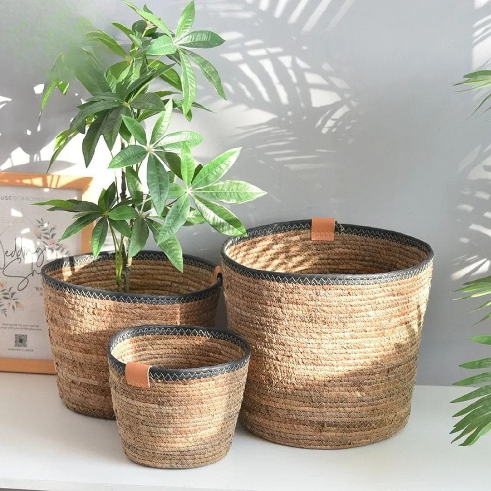 Ancien cache pot en osier