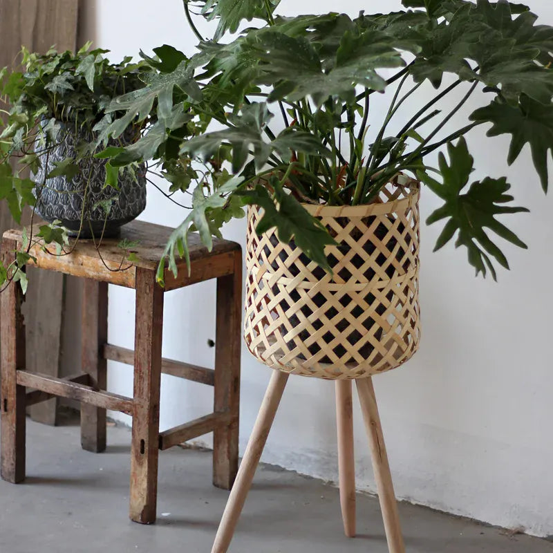 cache-pot bambou sur pied