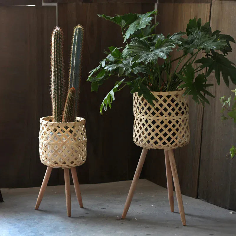 cache-pot bambou sur pied