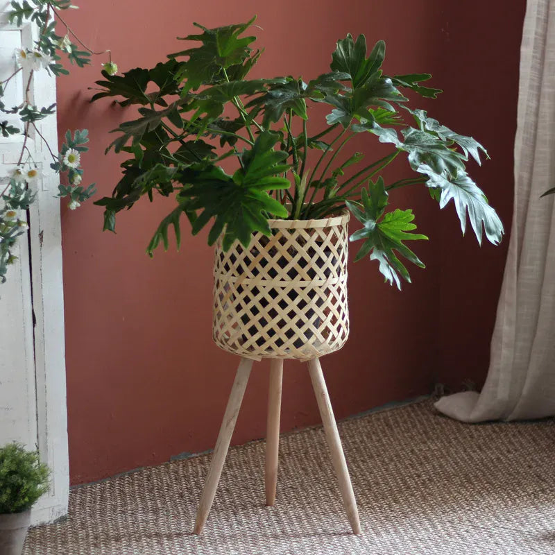 cache-pot bambou sur pied