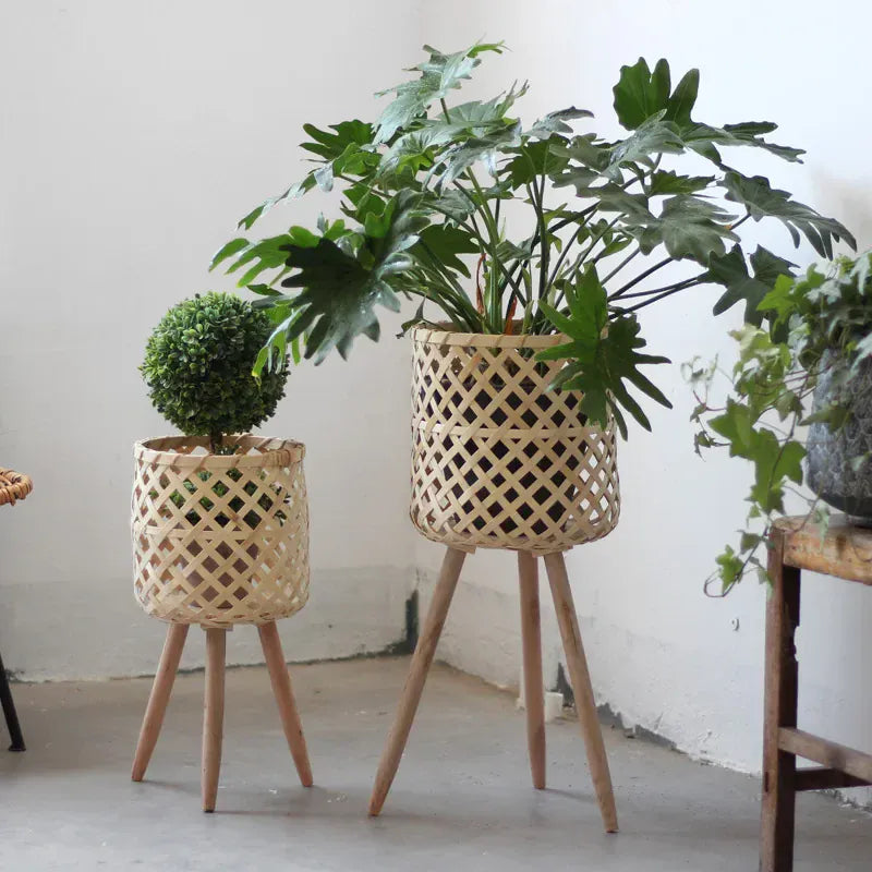 cache-pot bambou sur pied