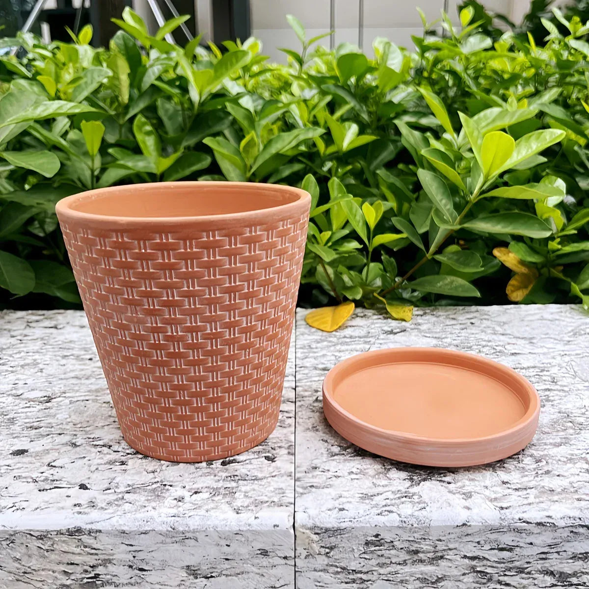 cache pot céramique à peindre