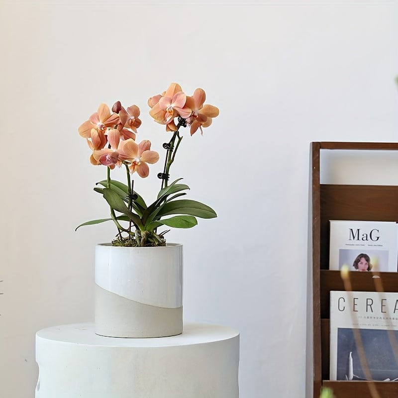 Cache pot céramique art deco Blanc