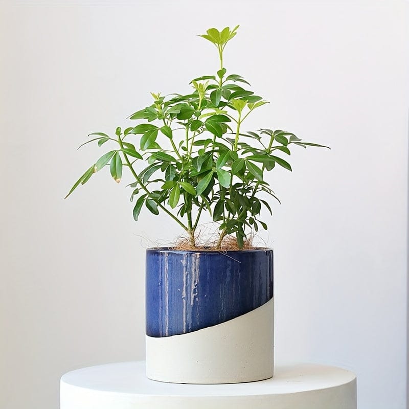 Cache pot céramique art deco Bleu