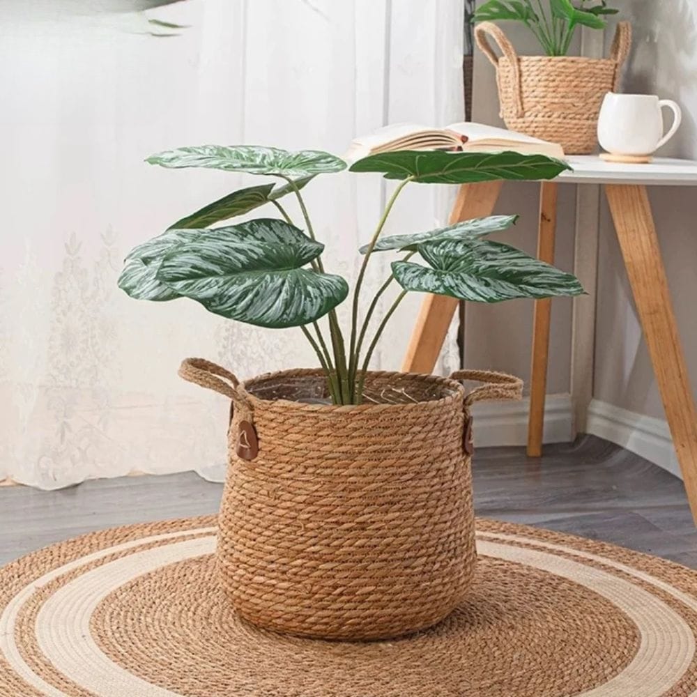 cache pot en osier avec anses