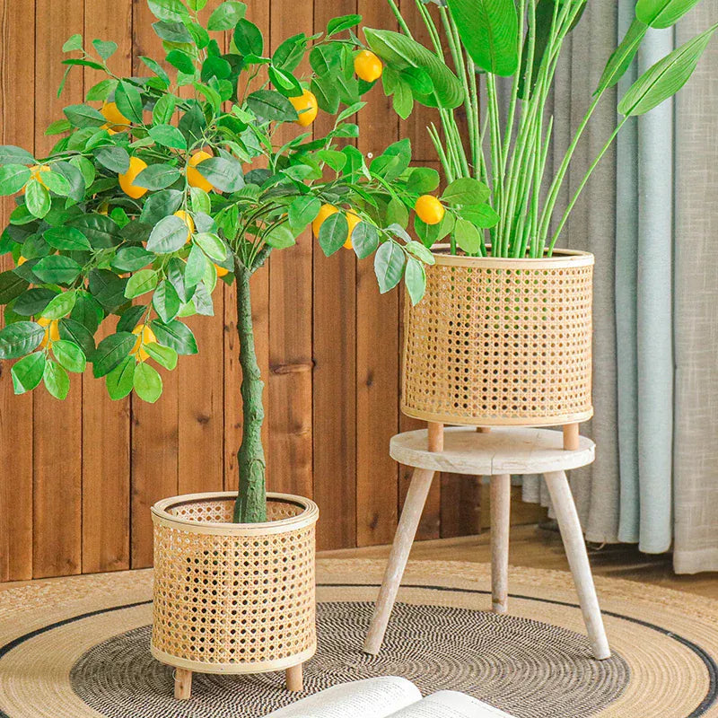 cache pot en osier et bois avec pied