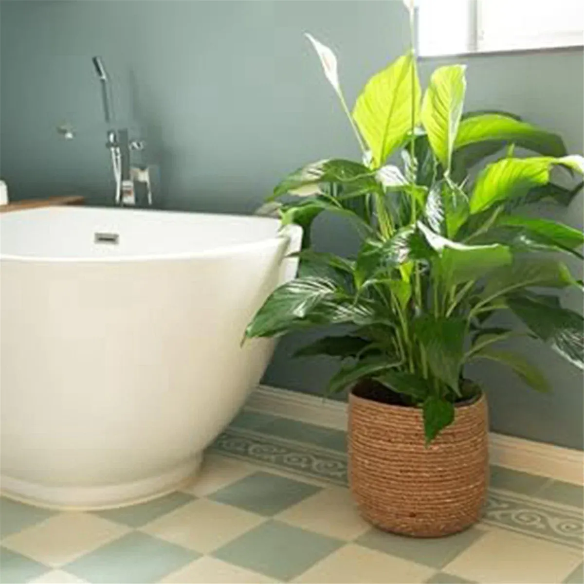 Cache pot en osier interieur