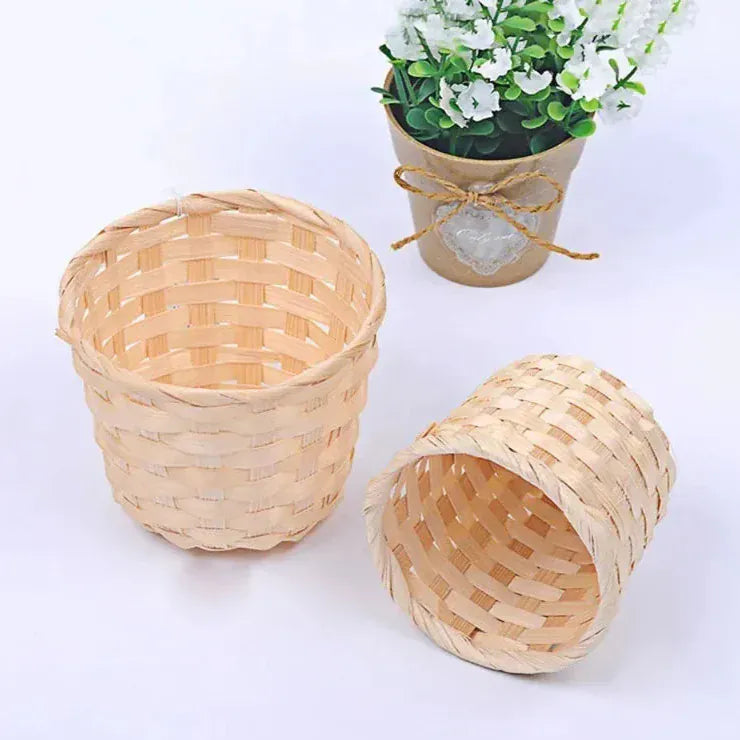 Cache pot en osier petites plantes grasses