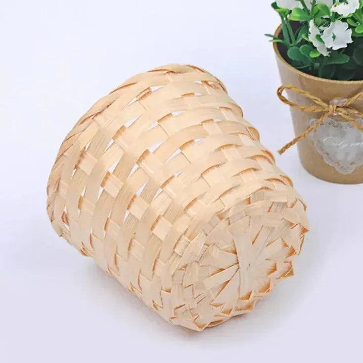 Cache pot en osier petites plantes grasses