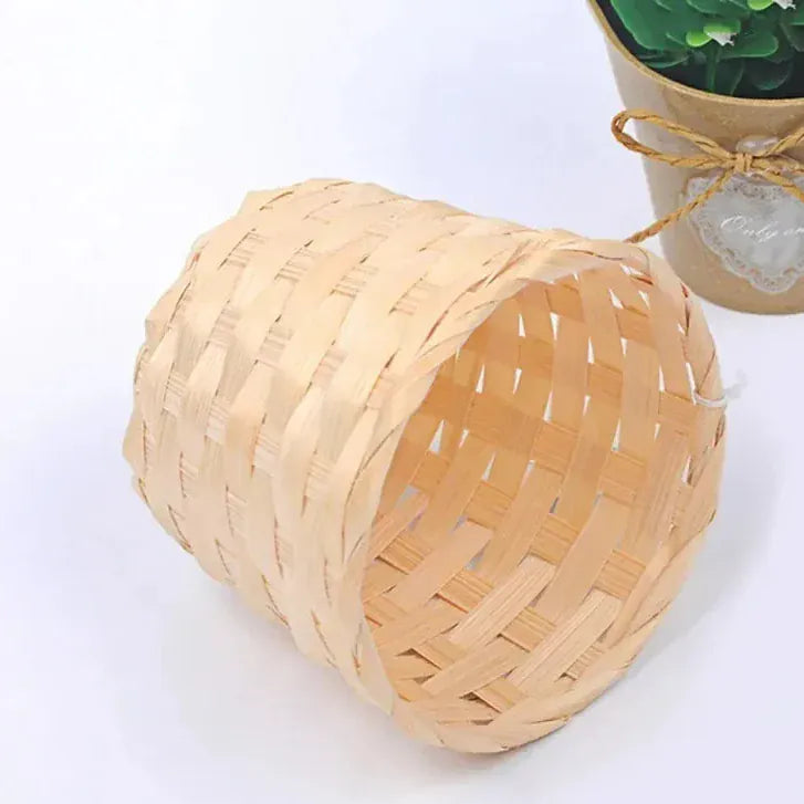 Cache pot en osier petites plantes grasses