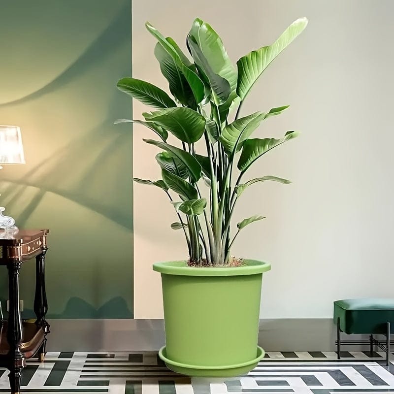 Cache-pot en plastique vert 2 pots + 2 socles