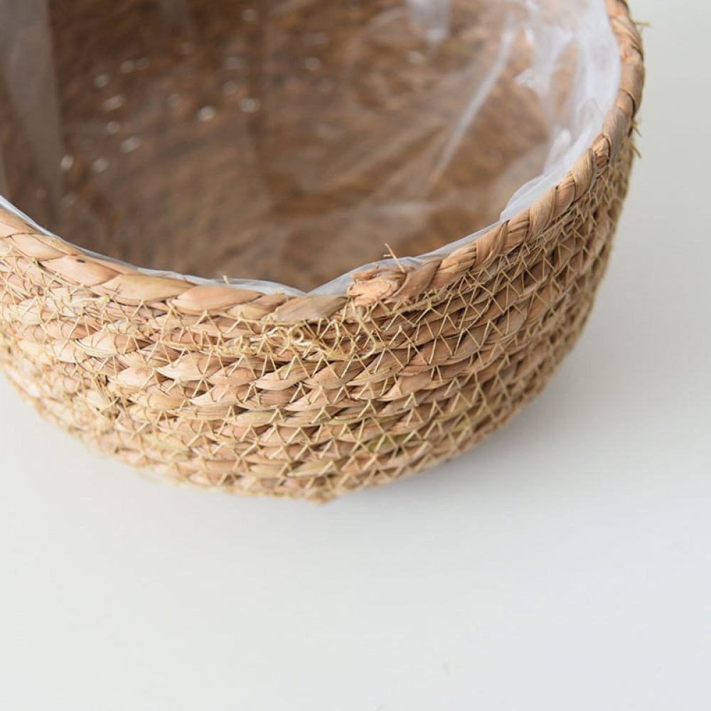 Cache pot en rotin plante