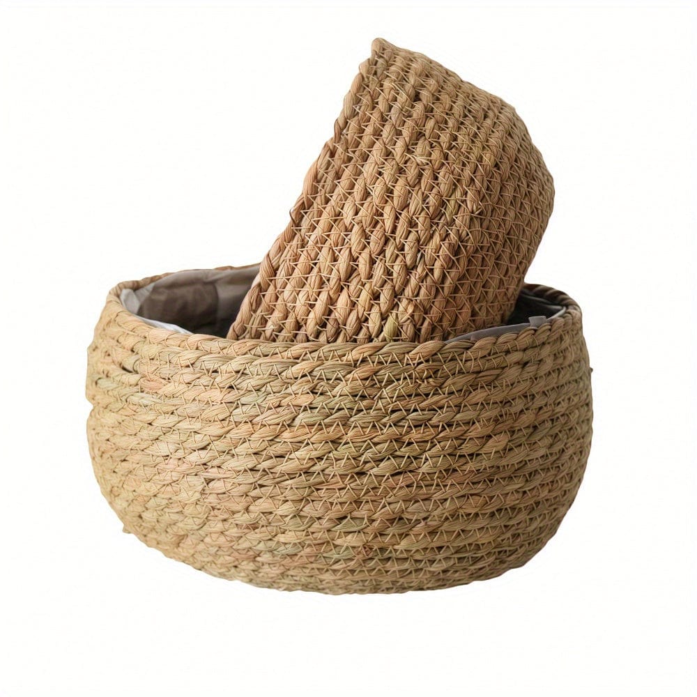 Cache pot en rotin plante