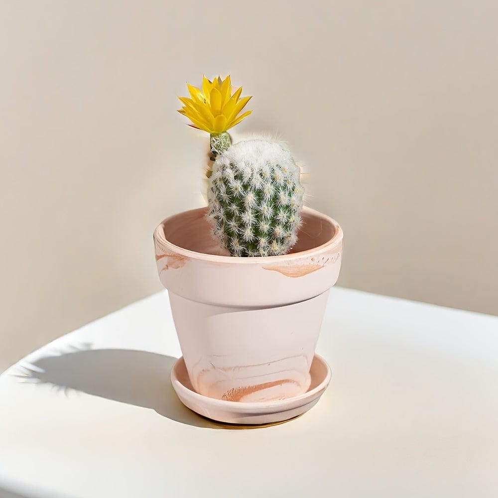 Cache pot en terre cuite peinte