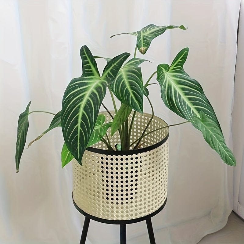 cache-pot intérieur sur pied