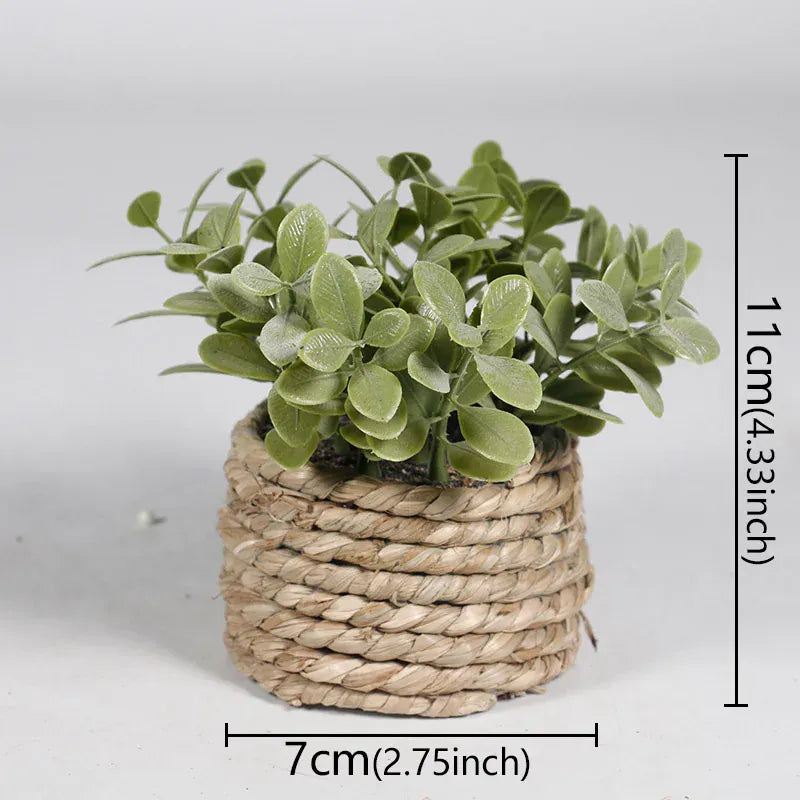 cache pot mini osier 1