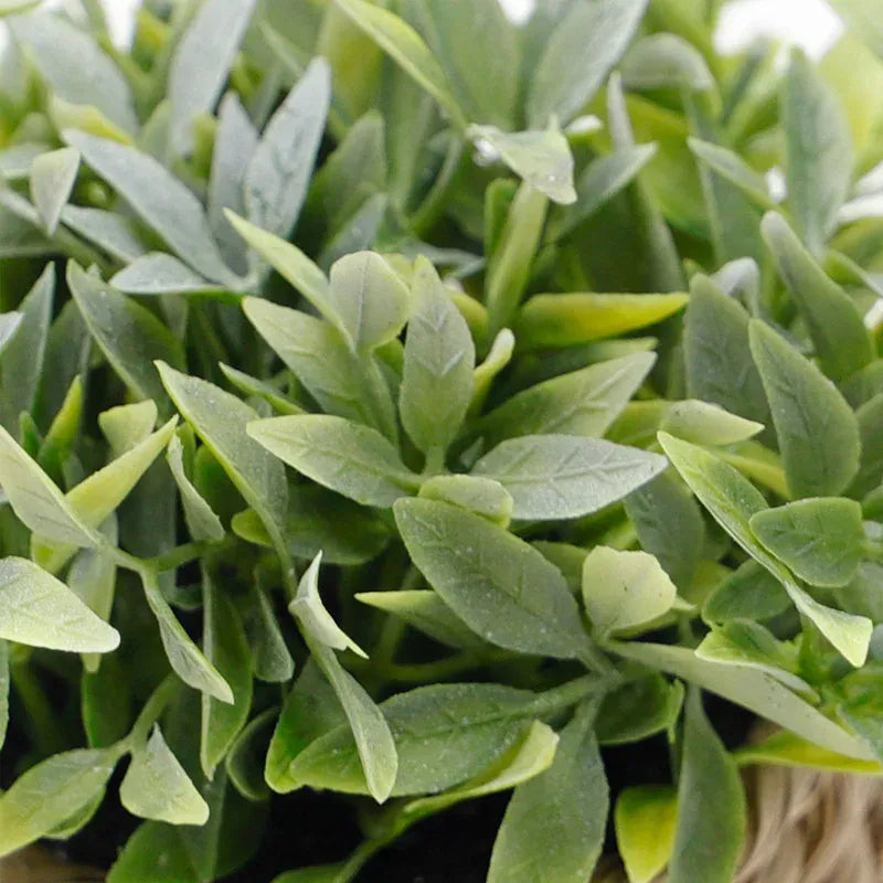 cache pot mini osier