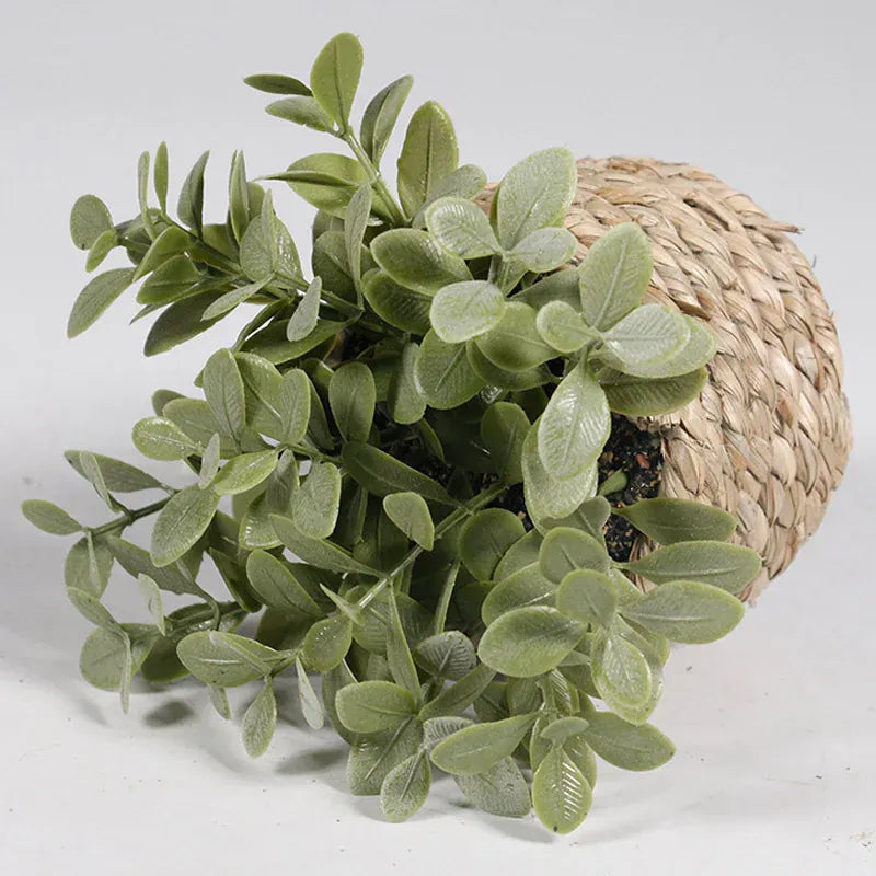 cache pot mini osier