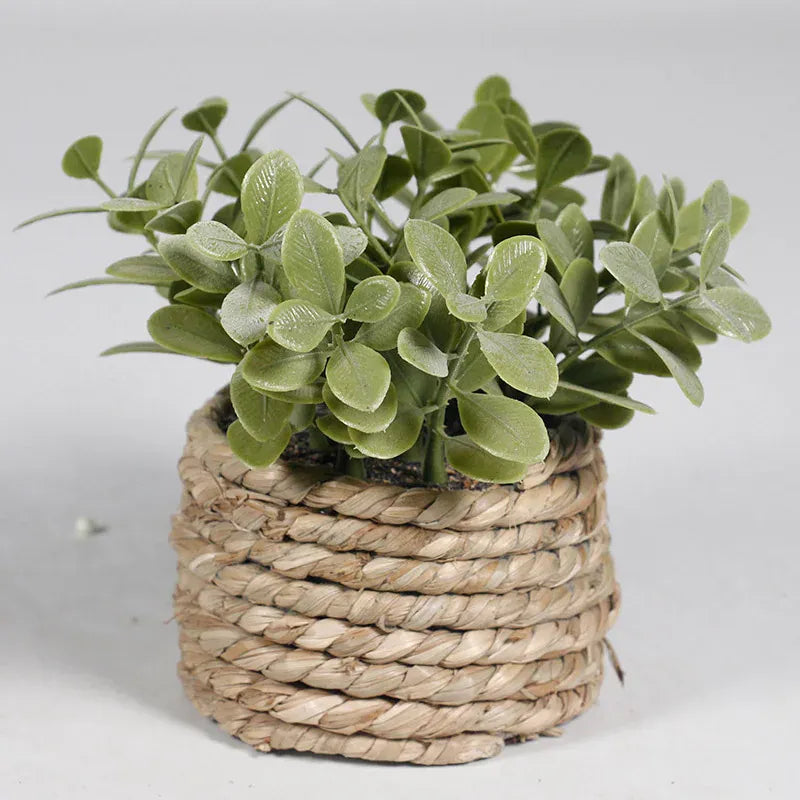 cache pot mini osier