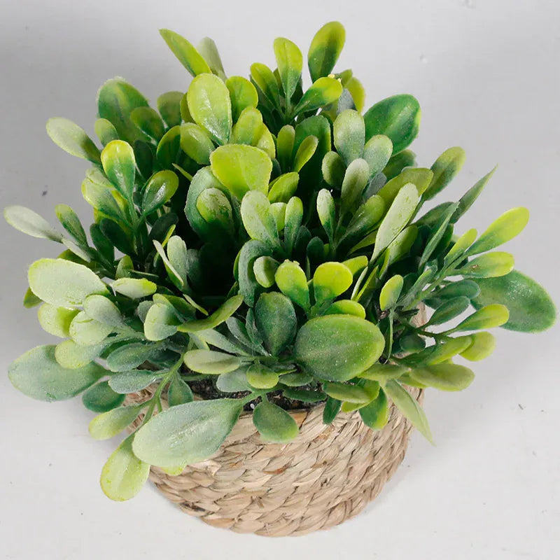 cache pot mini osier