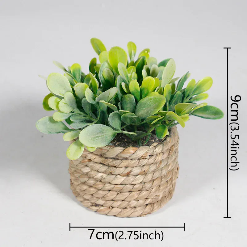 cache pot mini osier 2