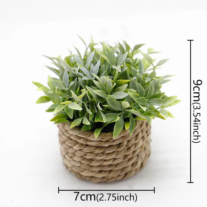 cache pot mini osier 3