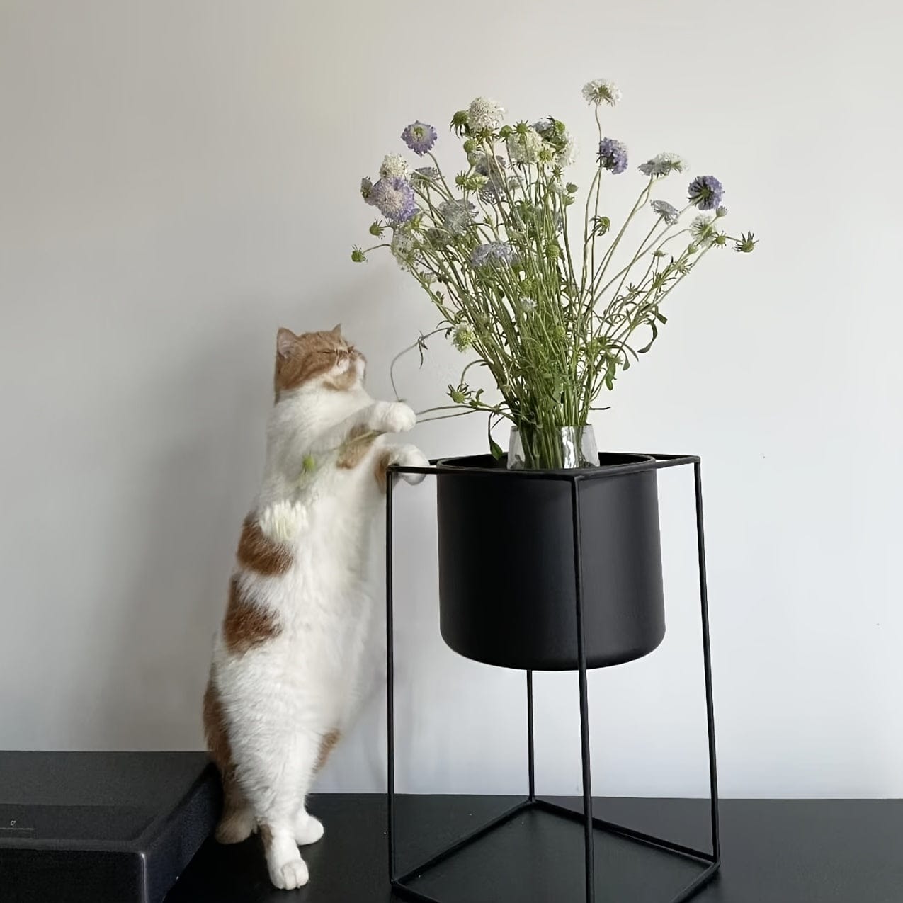 cache-pot sur pied noir