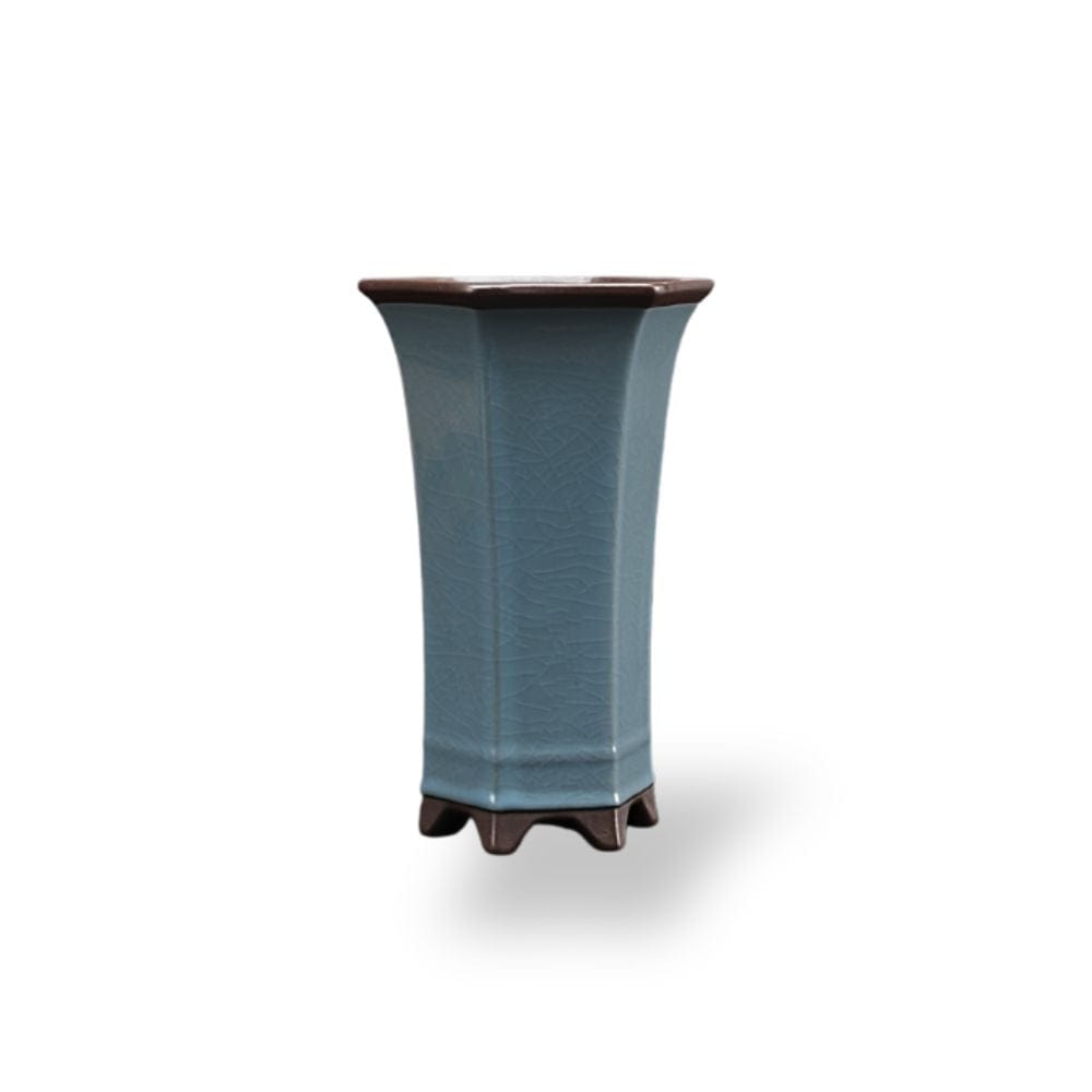 grand cache-pot bonsai céramique