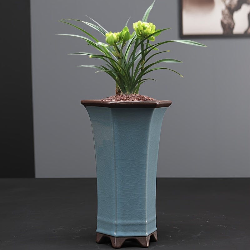 grand cache-pot bonsai céramique