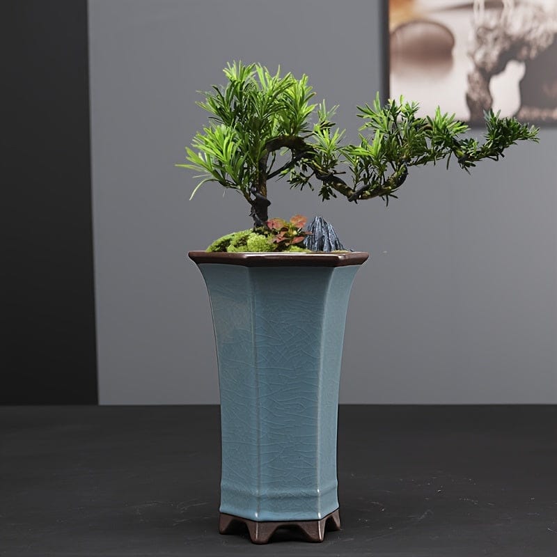 grand cache-pot bonsai céramique