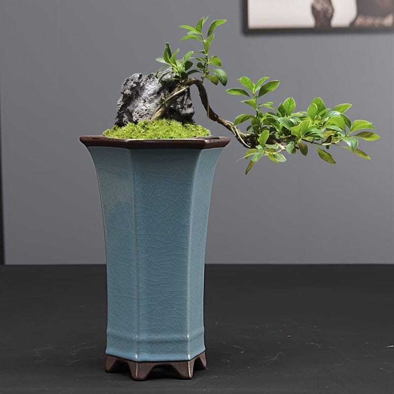 grand cache-pot bonsai céramique