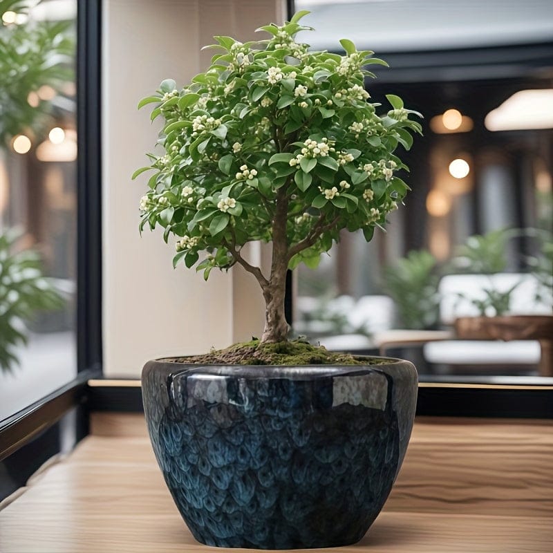 grand cache pot ceramique