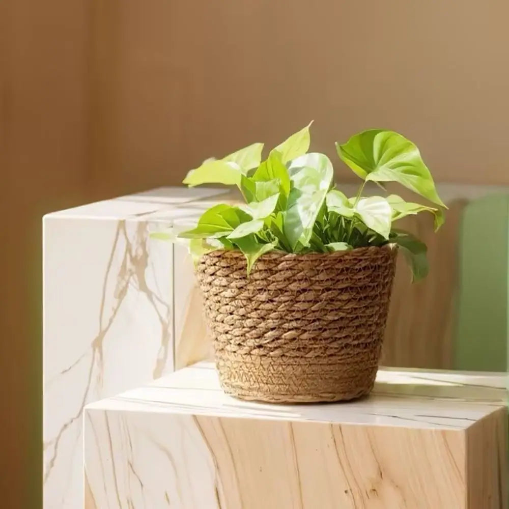 Petit cache pot osier