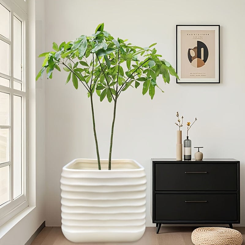 Pot carre plastique pour plante