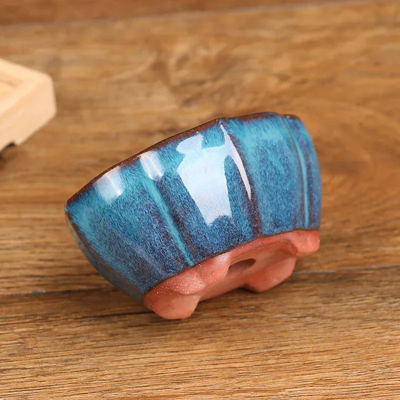 pot céramique bonsai bleu