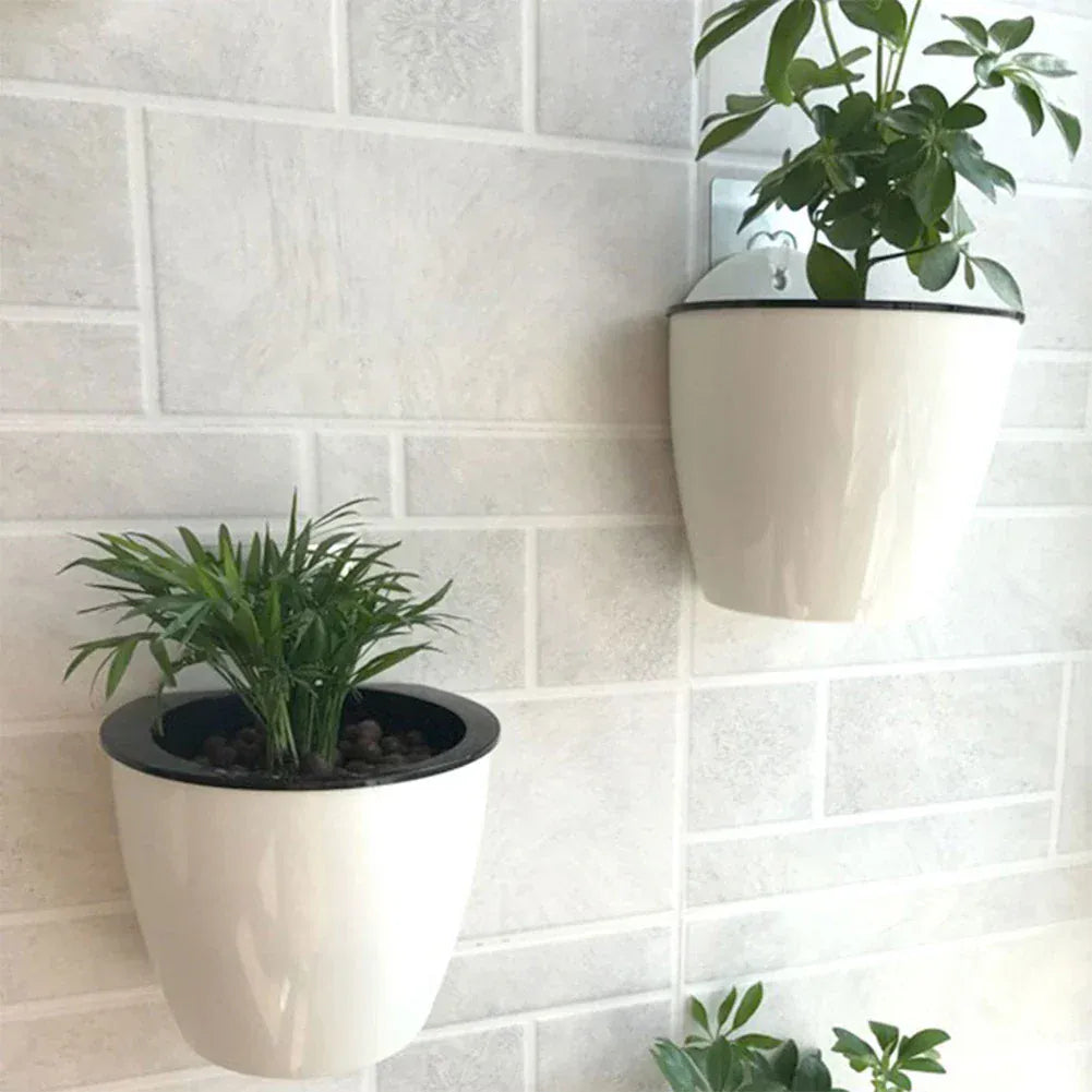 Pot en plastique mural pour plante B180