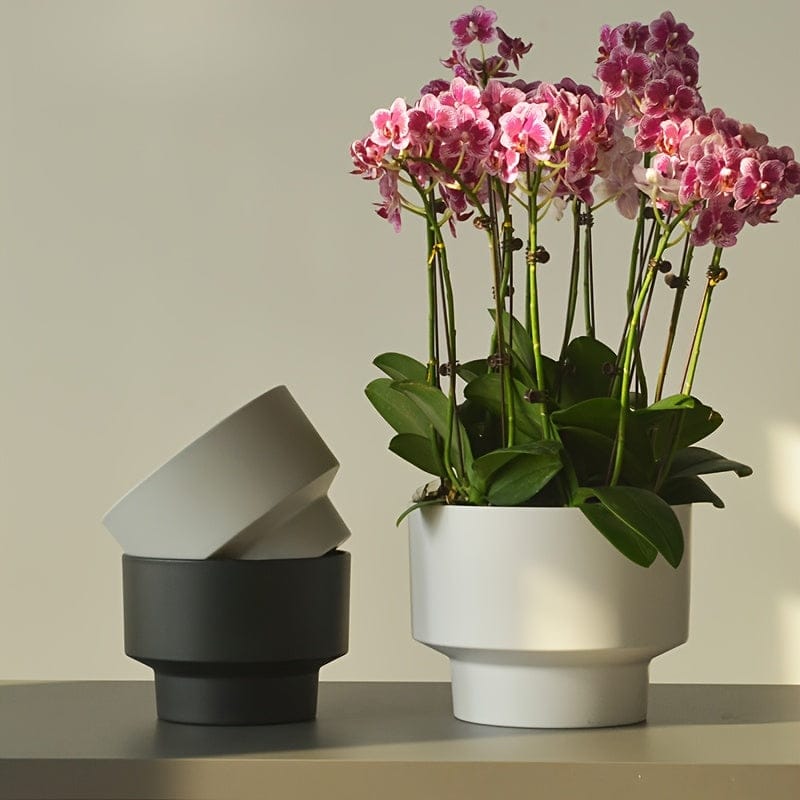 Pot en plastique pour orchidée