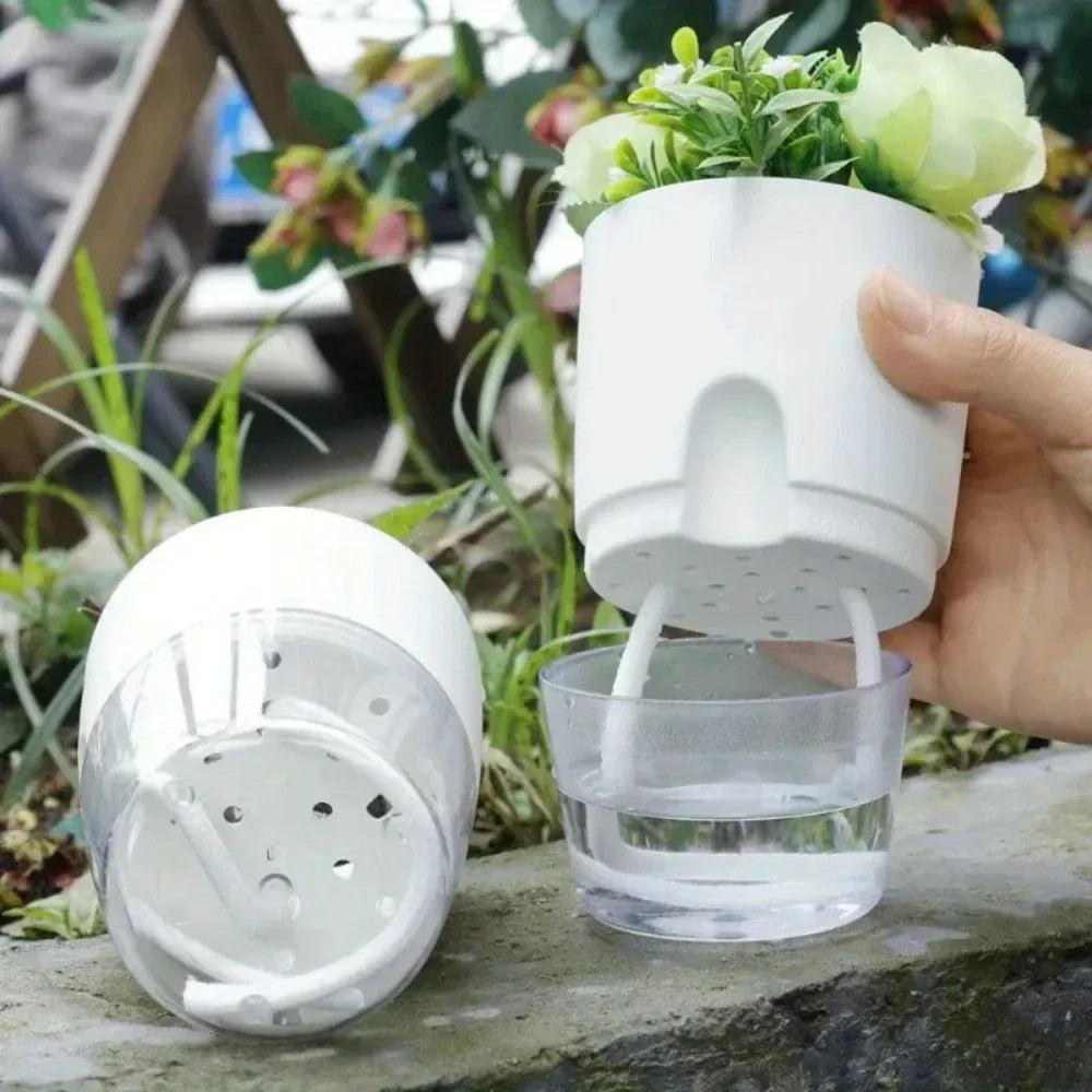 Pot en plastique transparent pour plantes