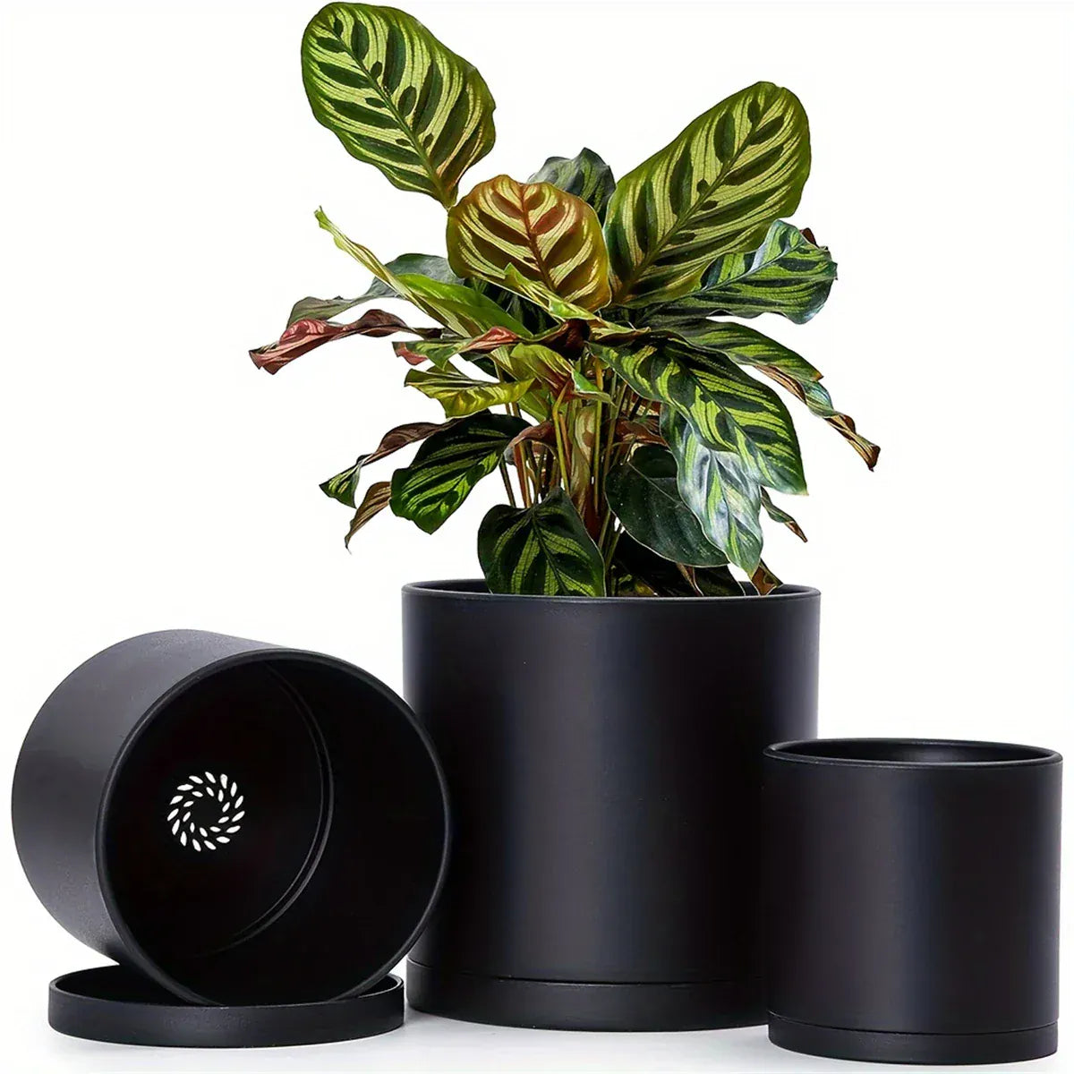Pot plastique noir plante Les 3 cache-pots