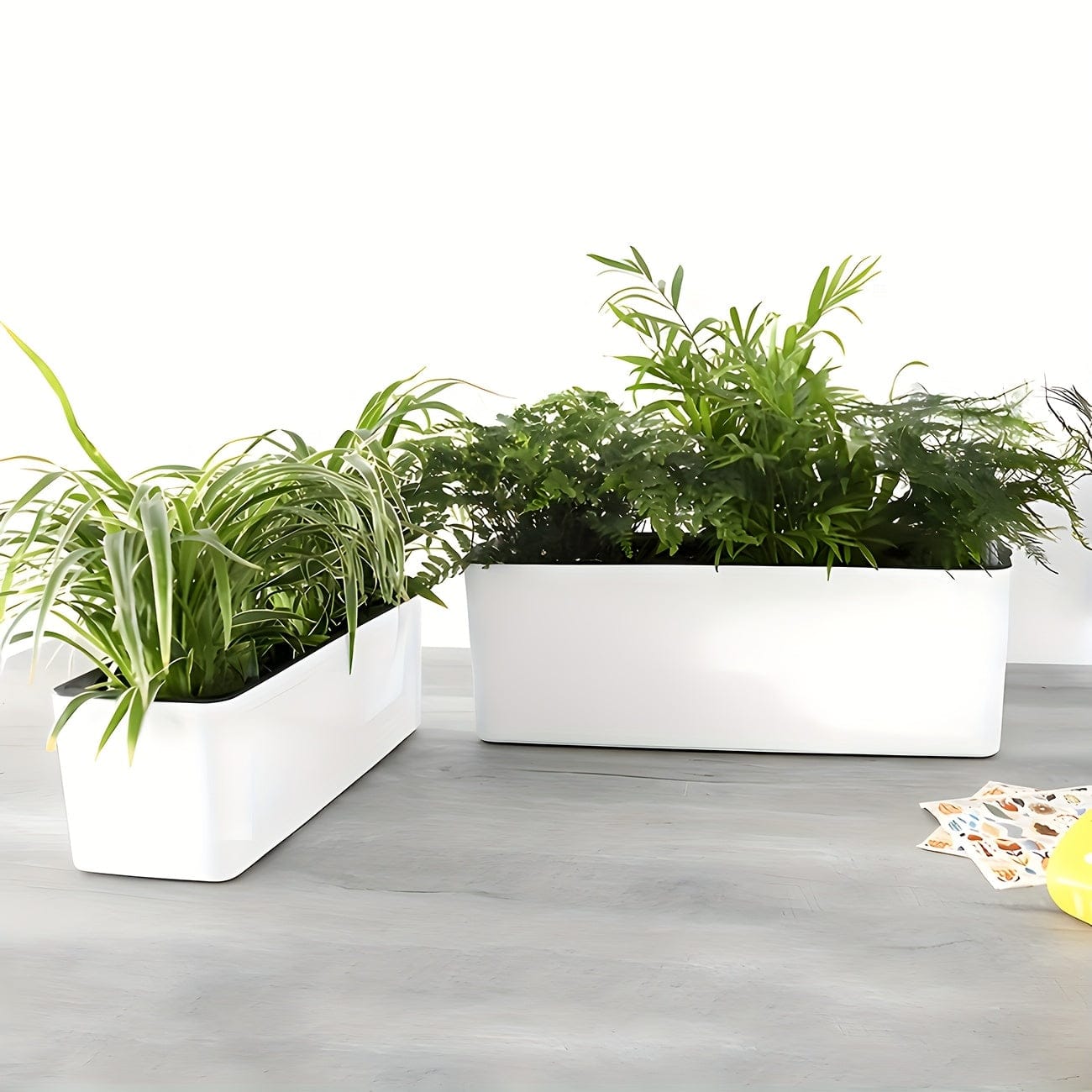 pot plastique plante rectangulaire