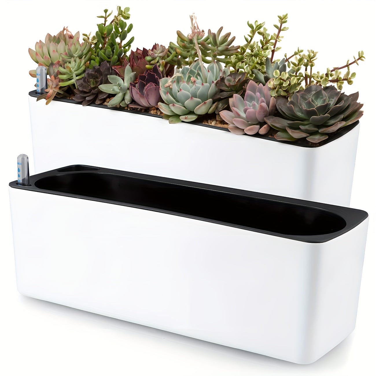 pot plastique plante rectangulaire