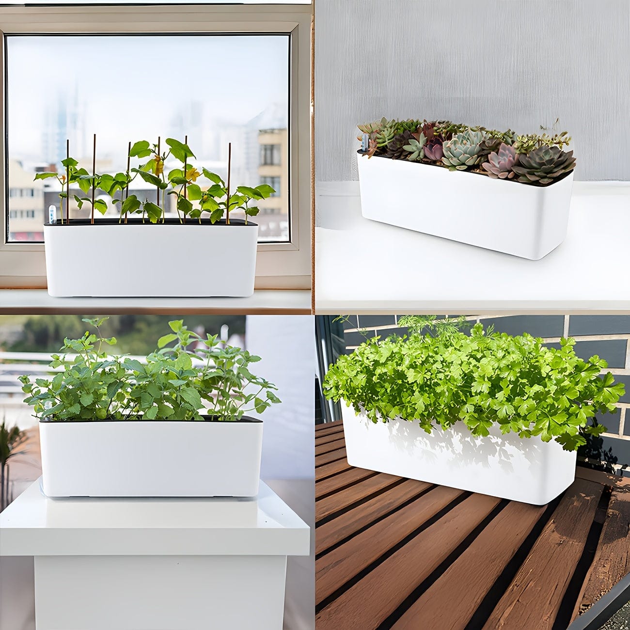 pot plastique plante rectangulaire