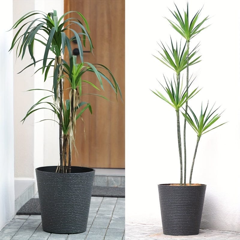 pot pour plante en plastique noir